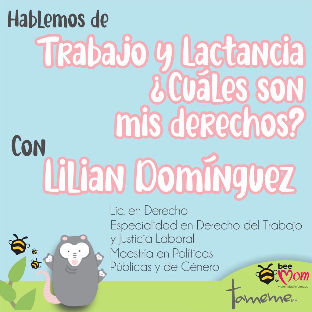 Hablemos de...Trabajo y Lactancia ¿Cuáles son mis derechos?